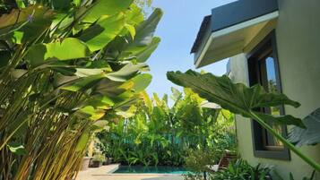 A pool surrounded by lush tropical plants, a modern building with a window, and a clear sky.
