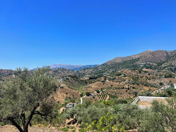 Paisaje montañoso con olivares y edificios dispersos.