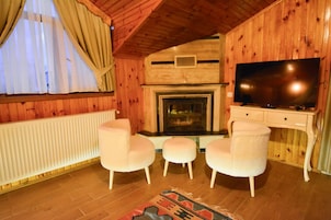Una habitación acogedora con chimenea, televisión y dos sillones.