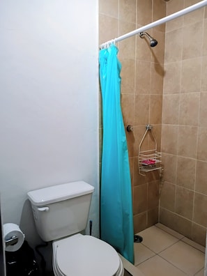 Bathroom - Hotel Alebrije (Heroica Puebla de Zaragoza)
