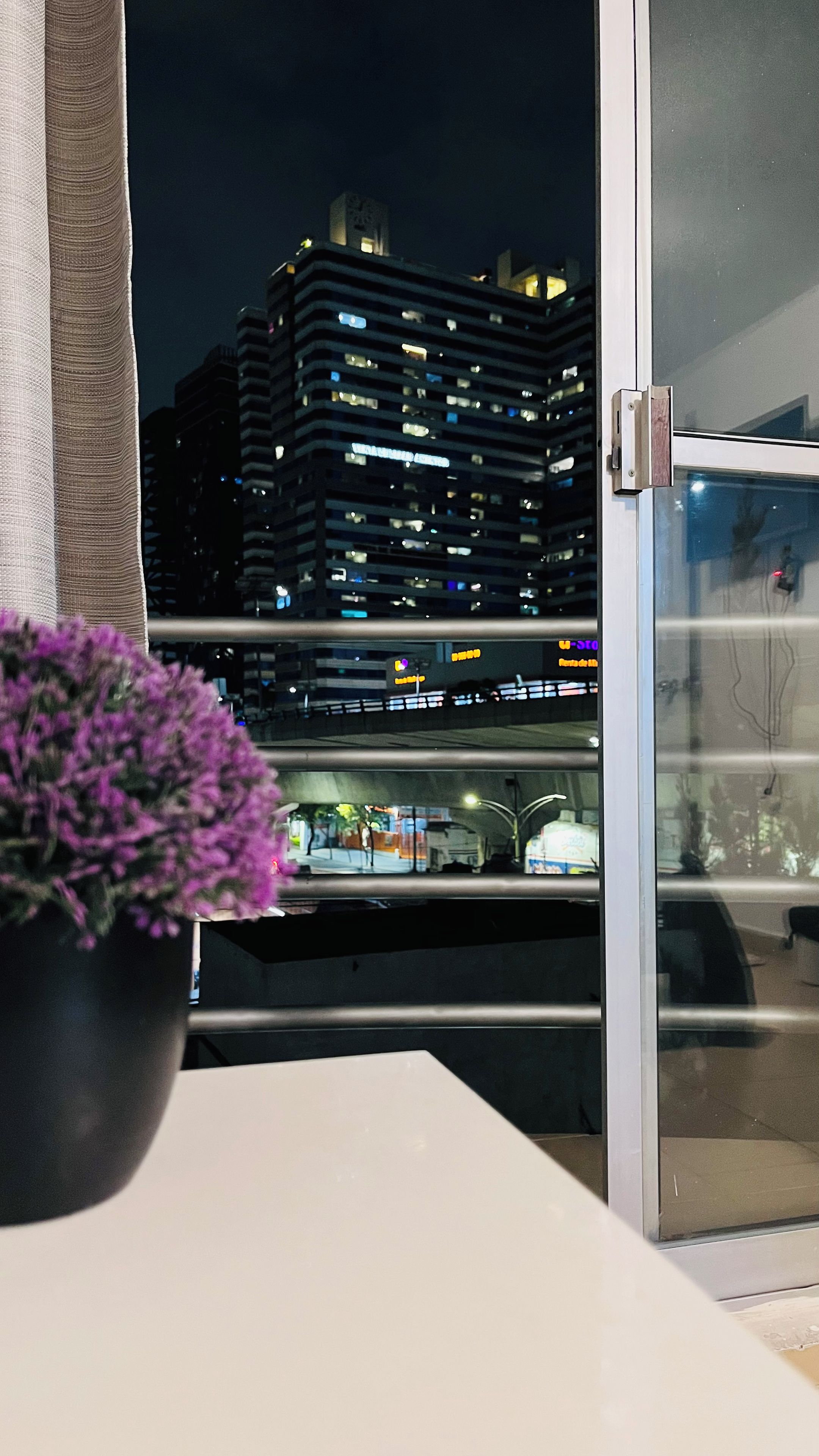 Blick aus einem Fenster mit einem Blumentopf im Vordergrund, einer Glastür und einer beleuchteten Stadtlandschaft bei Nacht.