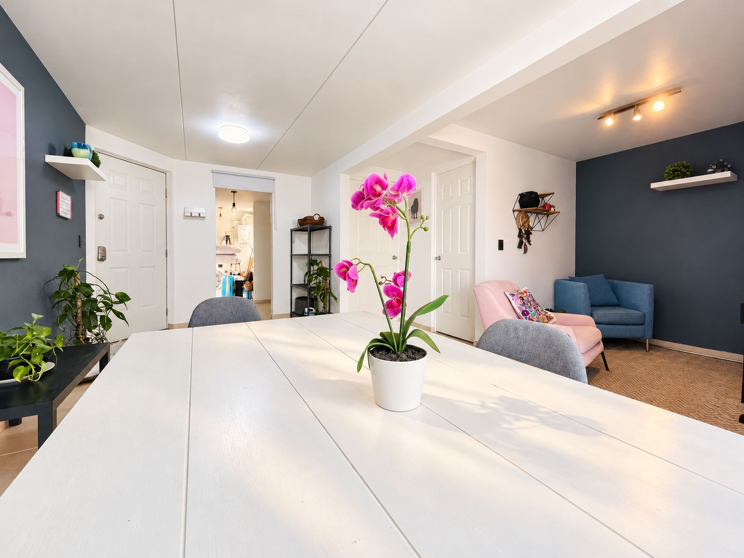 A modern living room with a white dining table, a blue sofa, and a potted orchid.