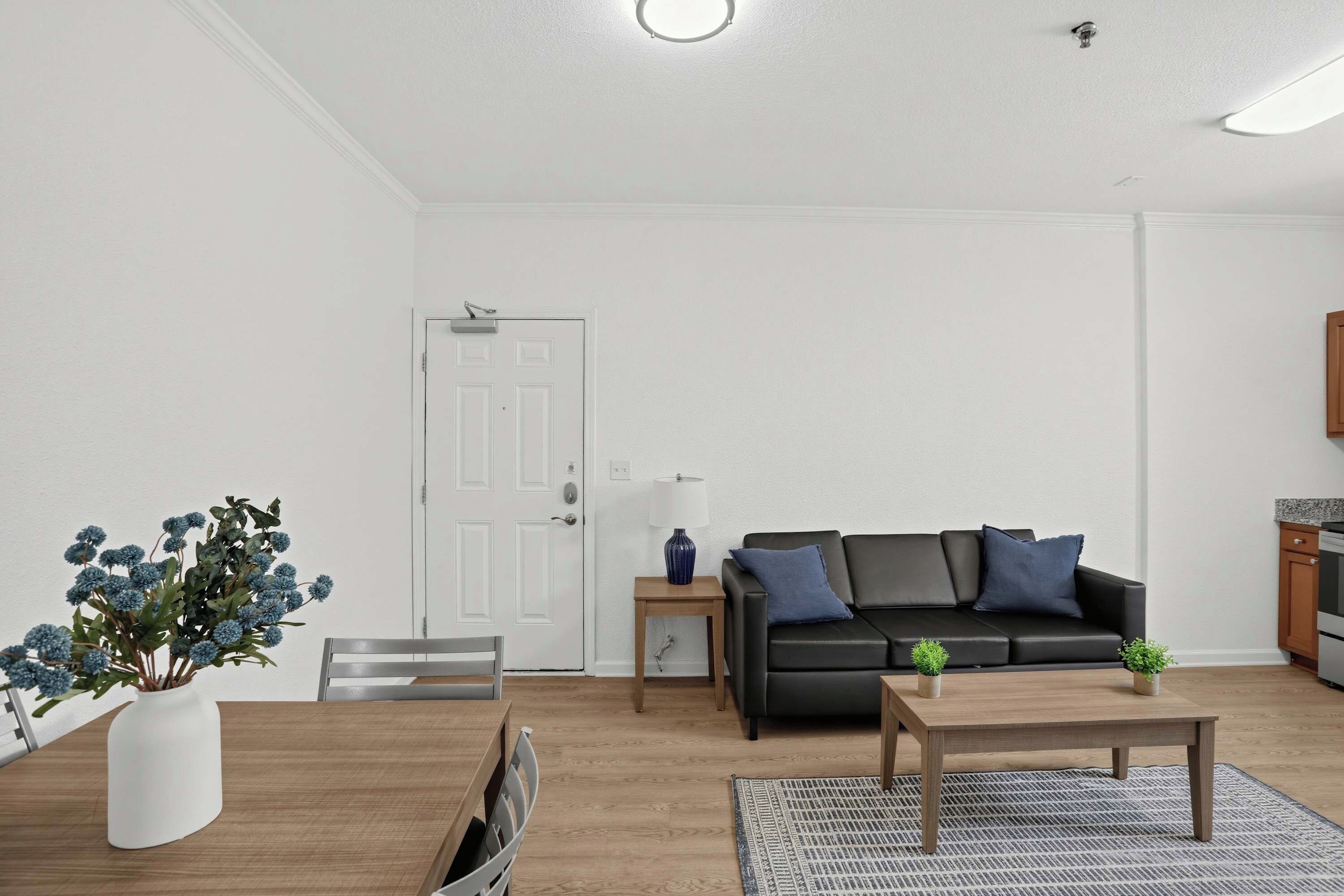 A modern living room with a black leather sofa, a wooden coffee table, and a white door.