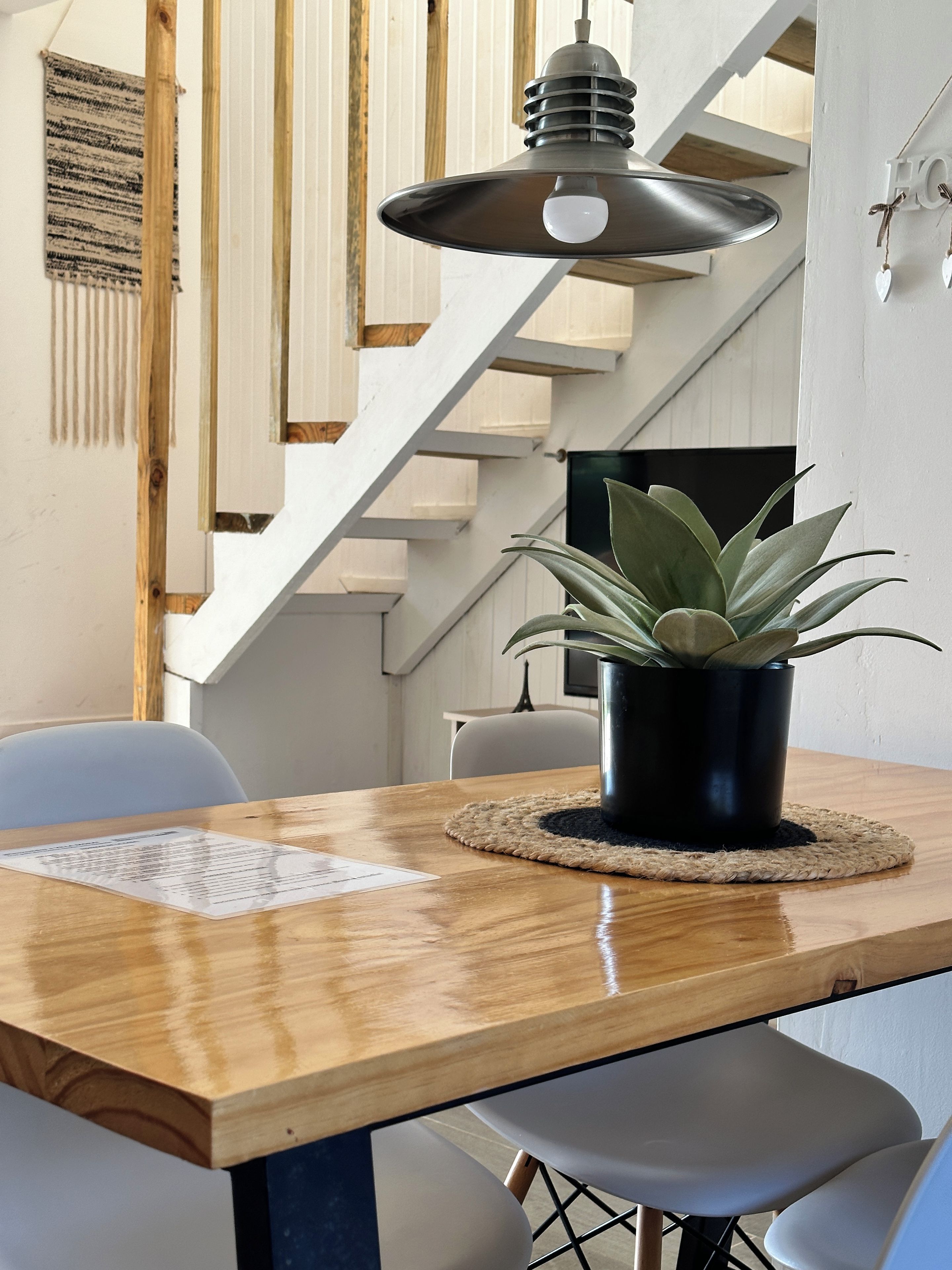 Une table à manger en bois, agrémentée d’une plante en pot, d’un set de table et d’une suspension.