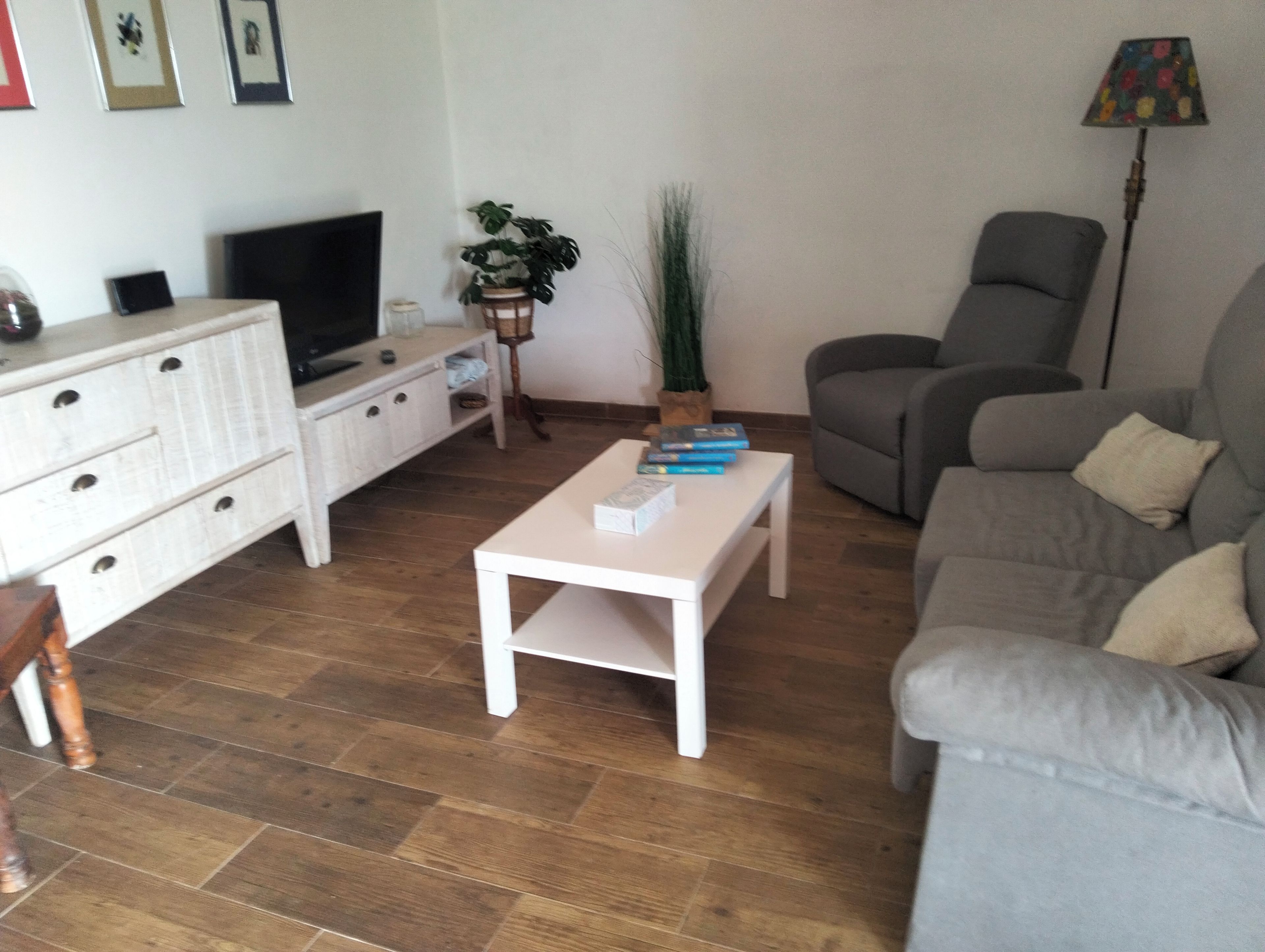 Uma sala de estar com sofá, mesa de centro, televisão, armário e planta.