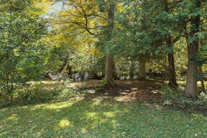 Ein bewaldetes Gebiet mit einem Feldweg und hölzernen Stühlen.