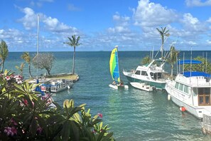 A marina with multiple boats, including a sailboat with a blue and yellow sail, docked alongside. - Oceanfront Escape - Private Pier & Paddleboards (Kaneohe)