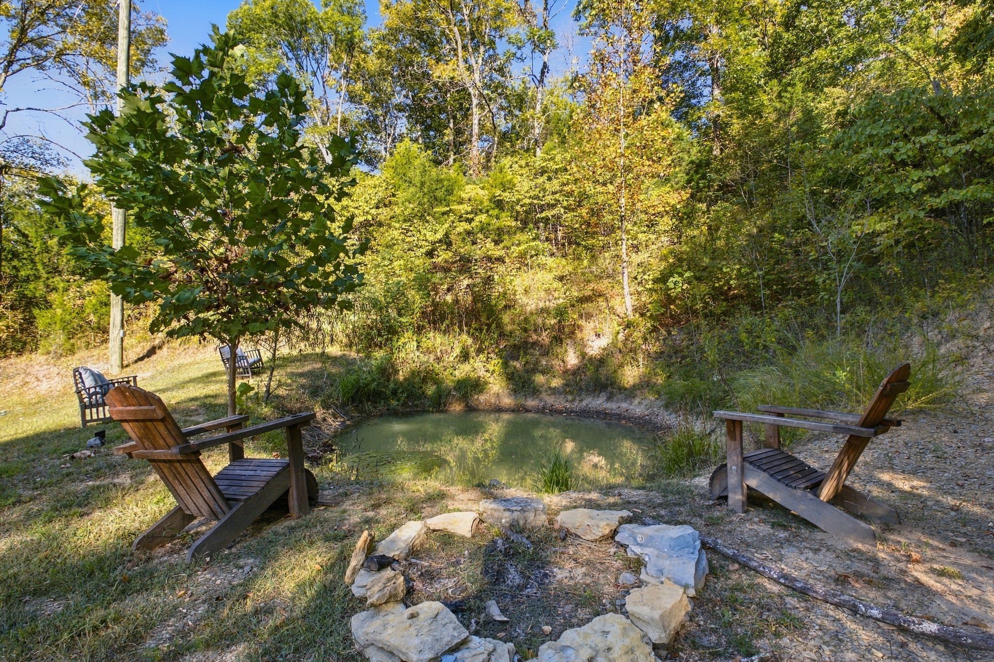 A natural outdoor setting with a pond, two wooden benches, and a stone fire pit.