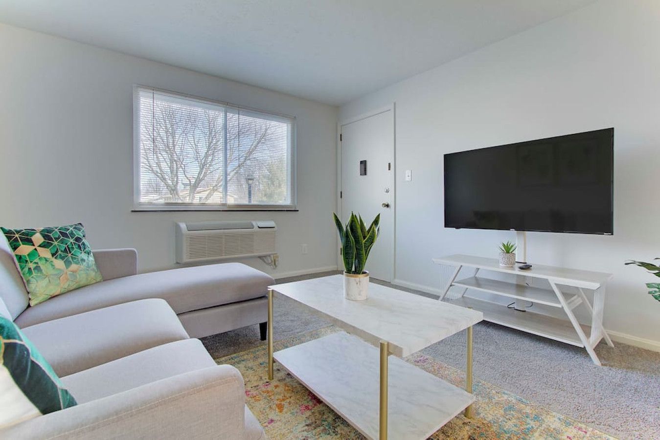 A modern living room with a sofa, coffee table, TV, and a plant.