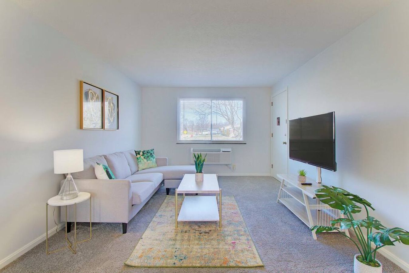 A living room with a sofa, coffee table, TV, and plants.