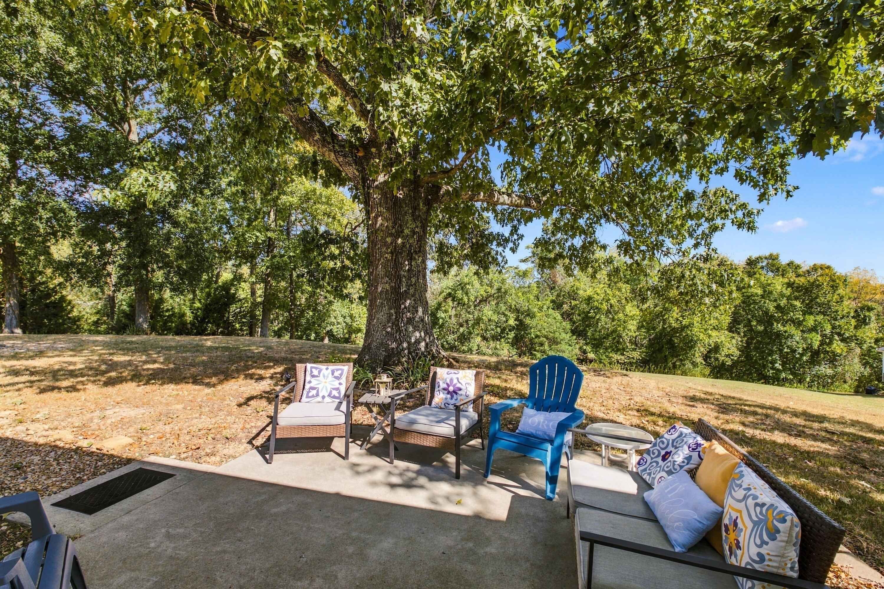 Un área de estar al aire libre con sillas y una mesa bajo un árbol grande.