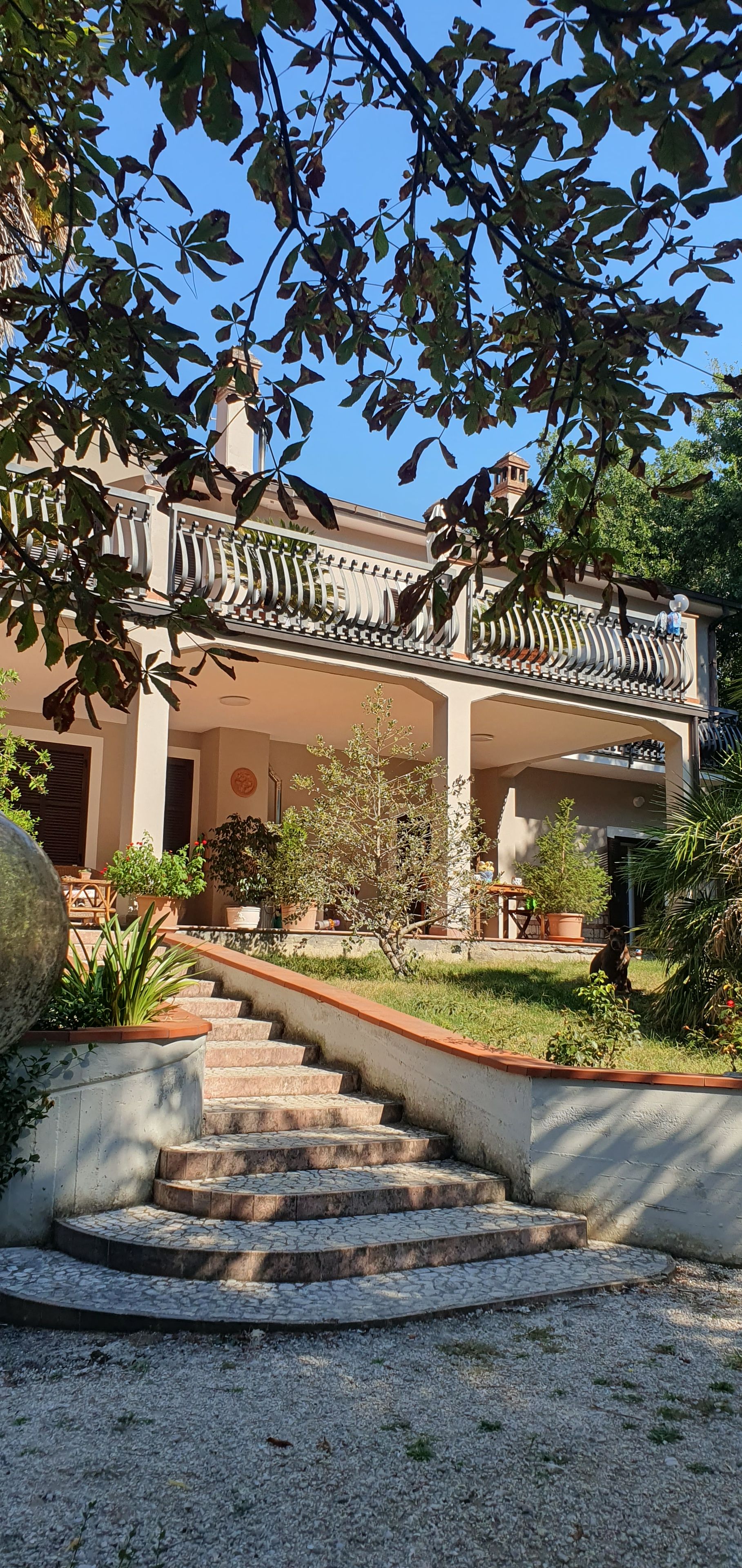 Un edificio con una scala che conduce a un ingresso coperto, circondato da vegetazione e piante in vaso.