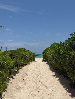 Strand