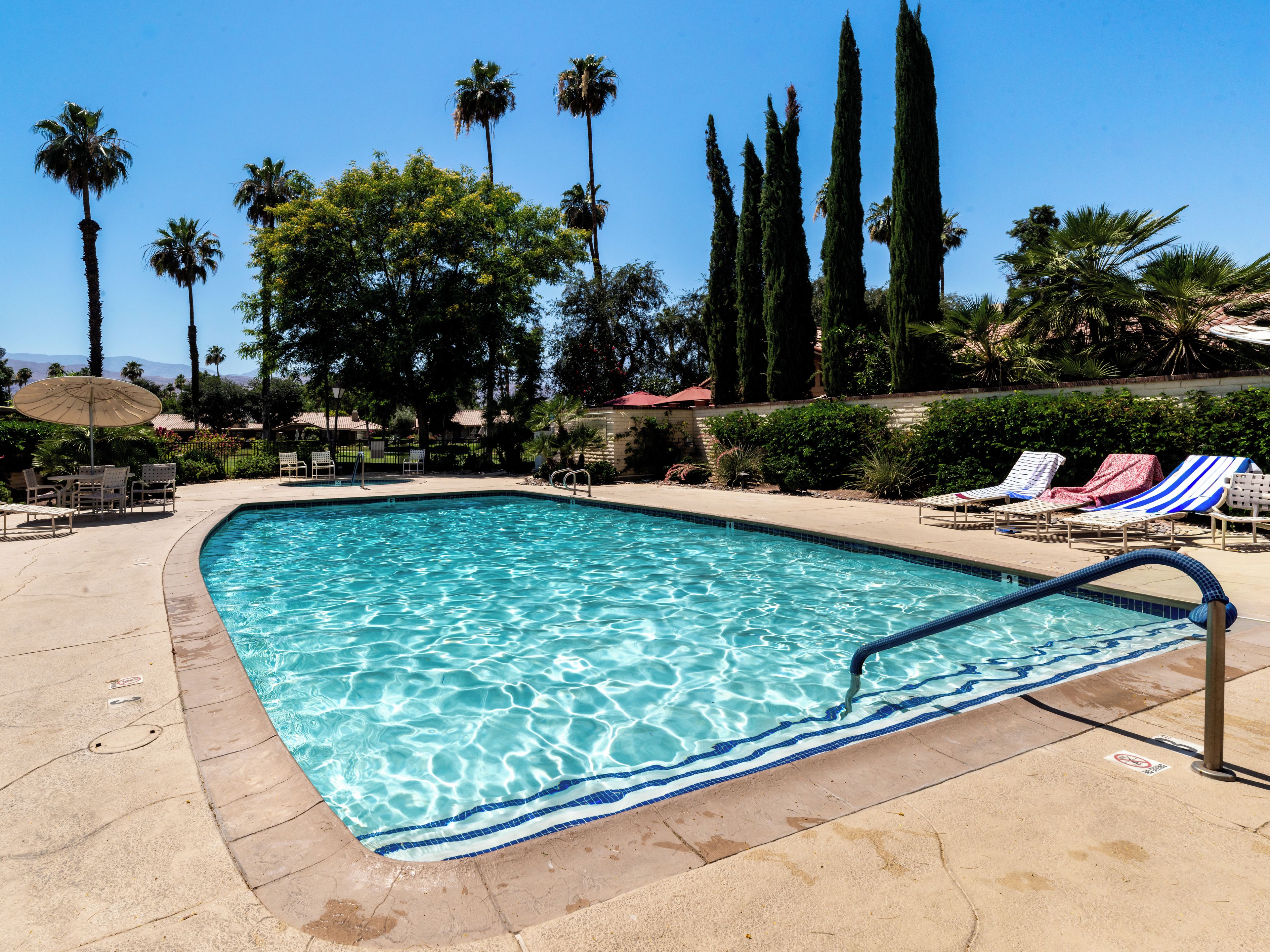 Una piscina rettangolare con bordo blu, circondata da sdraio e palme.