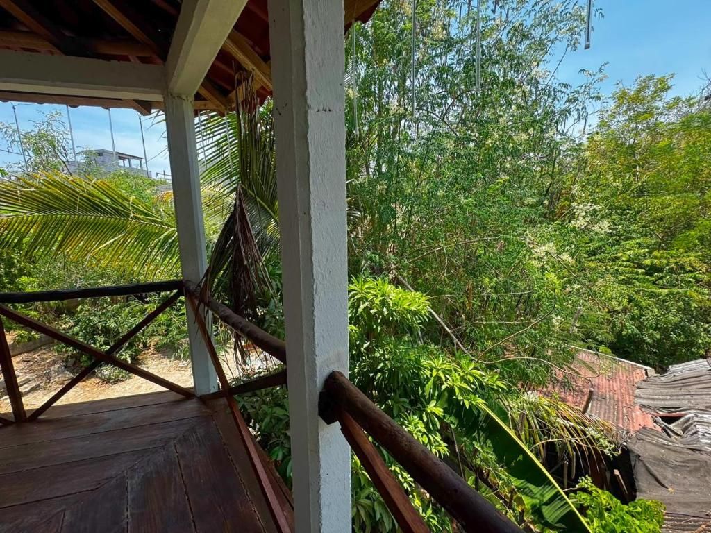 A wooden deck with a railing, surrounded by lush greenery and trees.