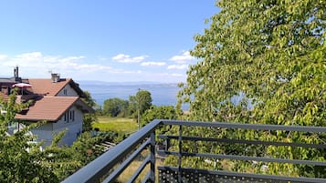 Et boligområde med huse, et metalhegn og udsigt til vand.