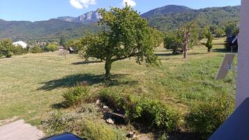 Un champ herbeux avec un arbre, une voiture garée et une montagne en arrière-plan.