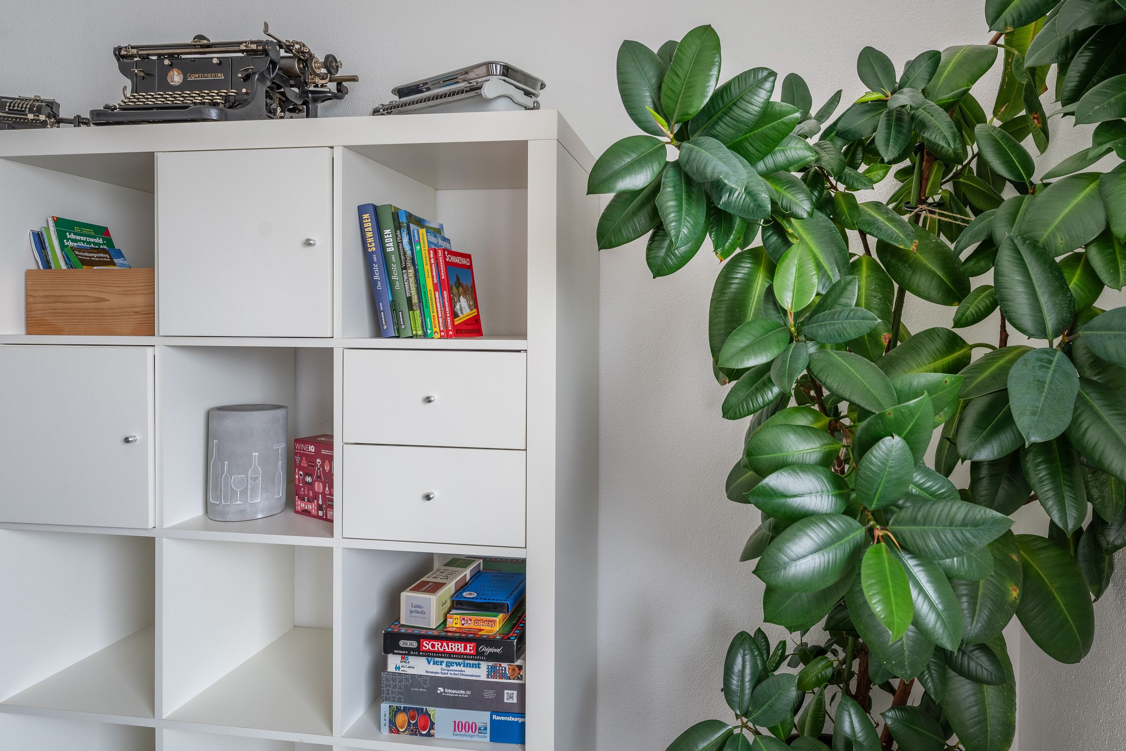 Ein Bücherregal mit Büchern, einer Schreibmaschine und einer Pflanze.