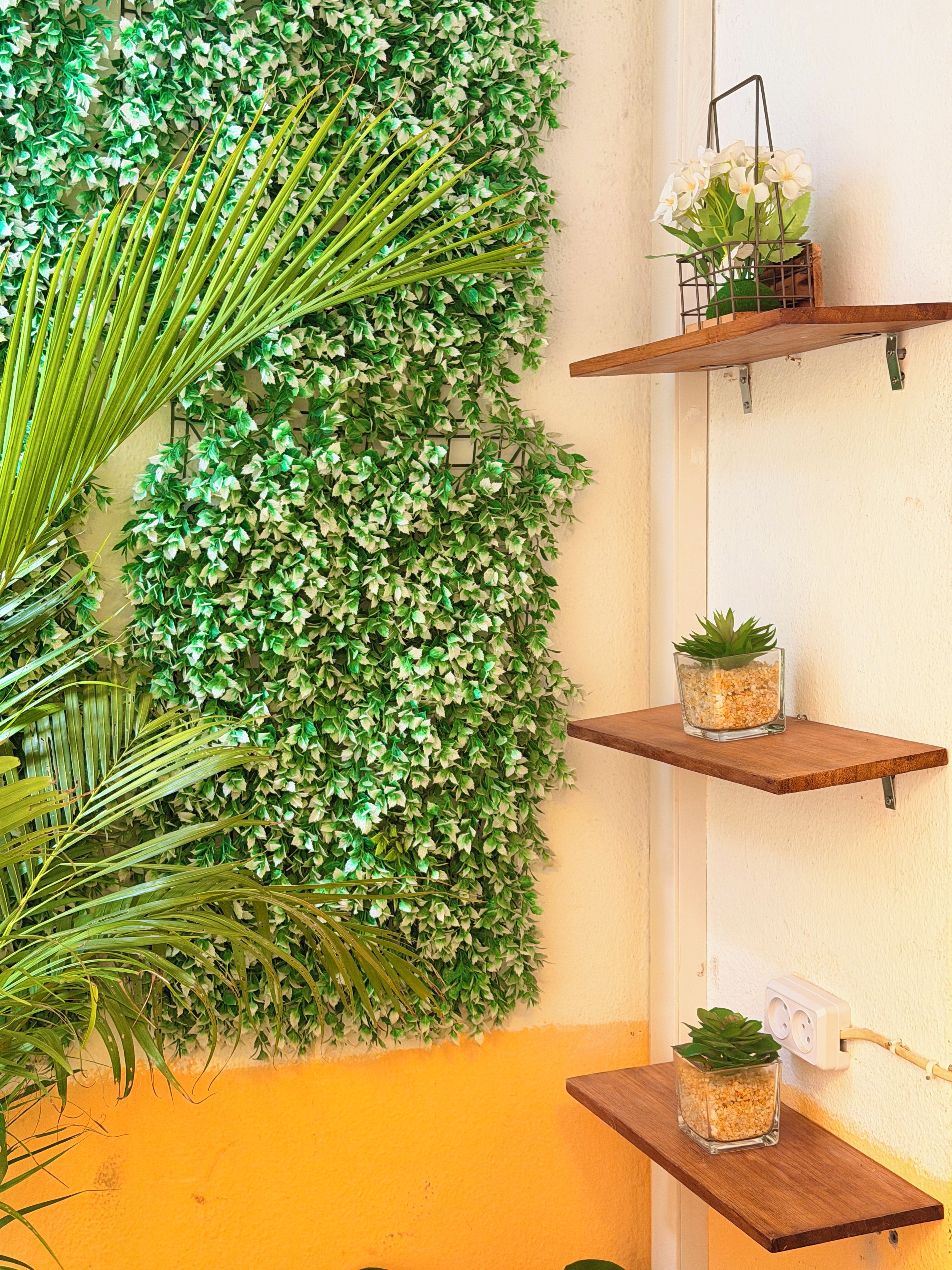 A wall with a vertical garden and three wooden shelves with potted plants.