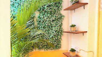 A room with a wall-mounted green foliage panel, a wooden chair, a small table, and two shelves with potted plants.