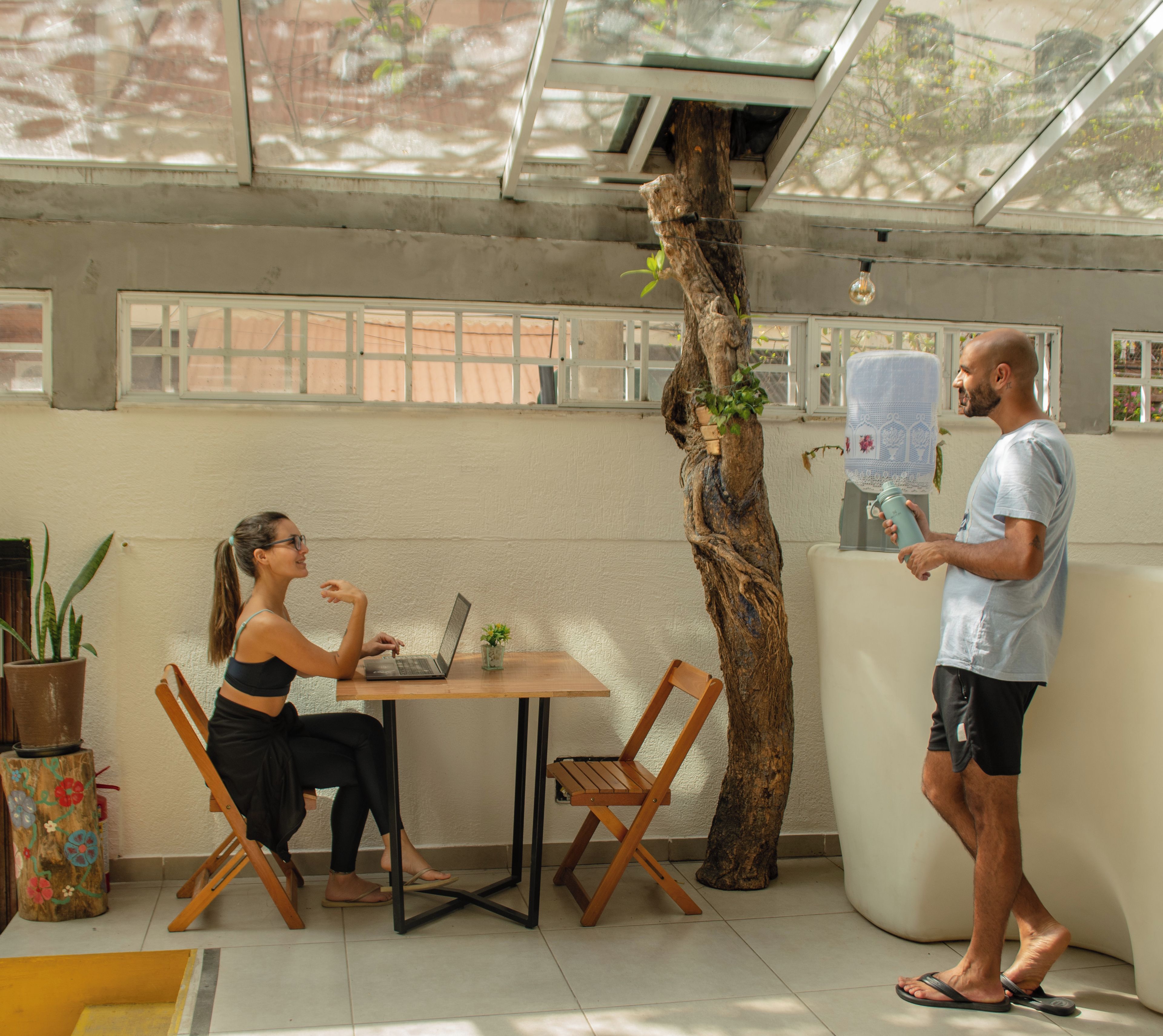 Une pièce avec une table en bois, un ordinateur portable, une plante en pot et un grand tronc d’arbre.