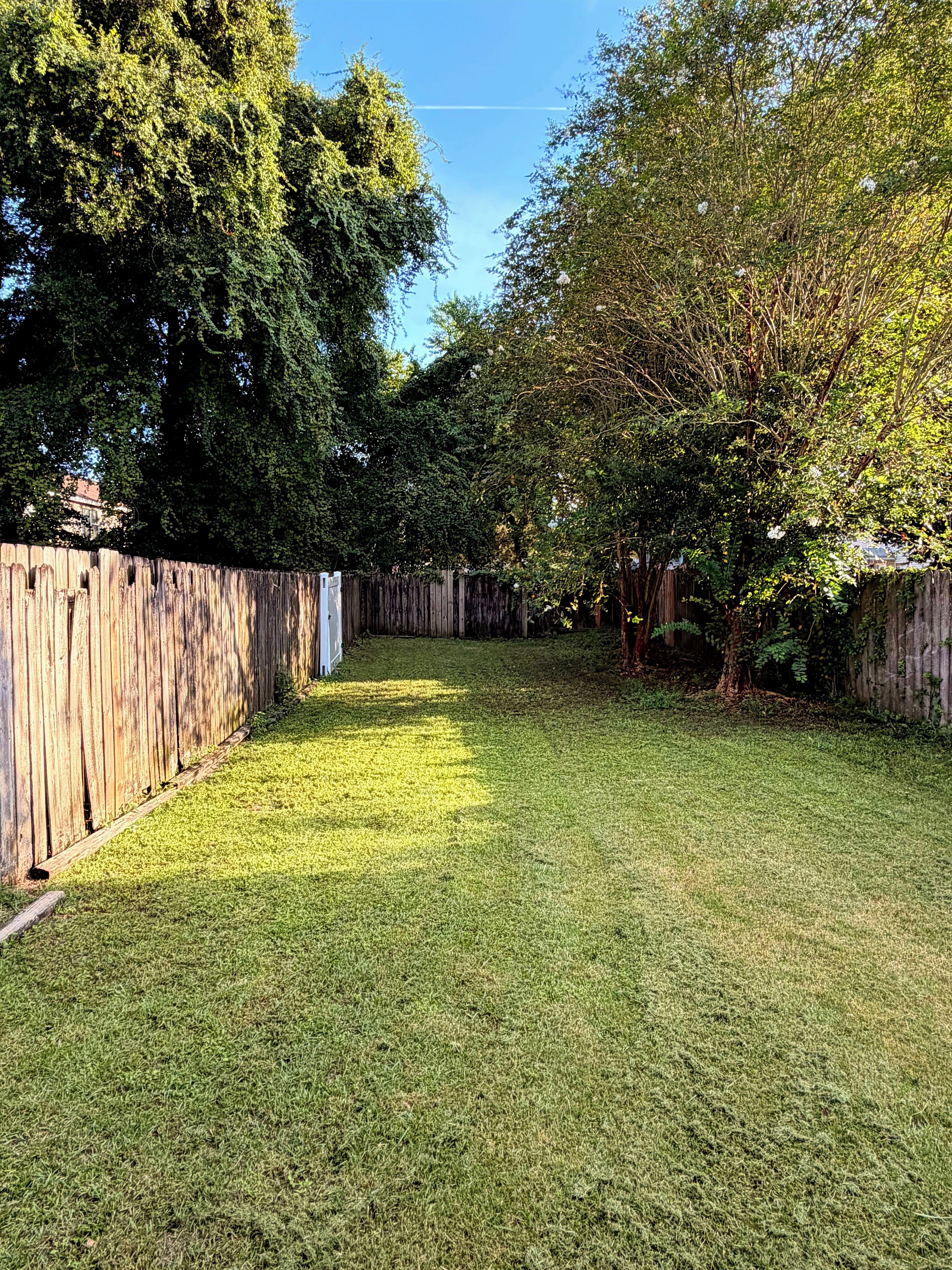 Un jardin avec une clôture en bois, une pelouse verdoyante et des arbres.