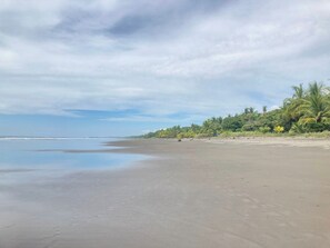 A beach with a clear sky, calm sea, and palm trees.
