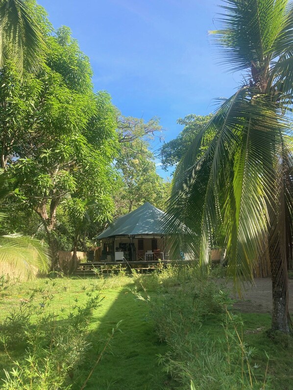 A small, single-story structure with a thatched roof, surrounded by lush greenery and palm trees.