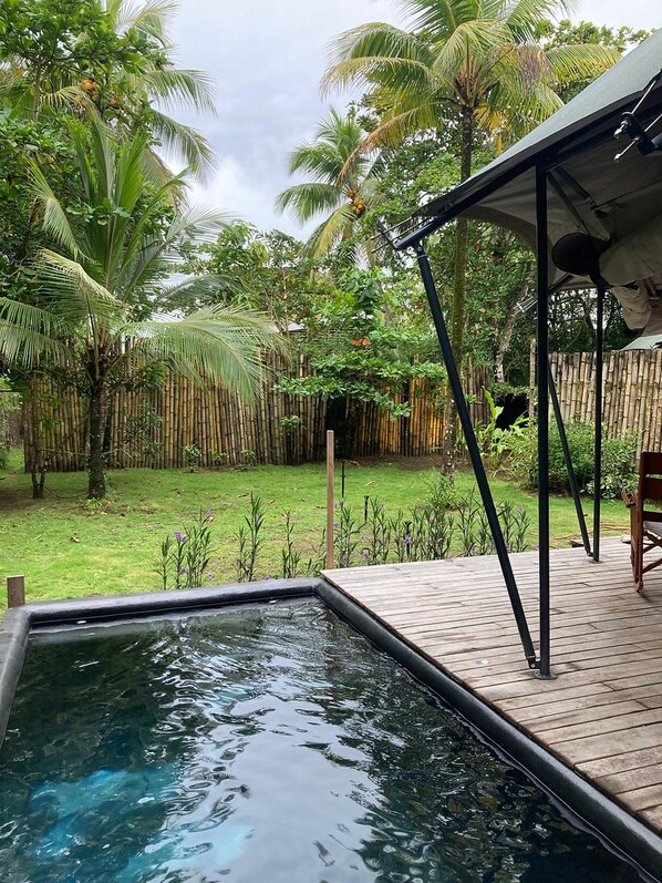 A swimming pool with a wooden deck, surrounded by lush greenery and bamboo fencing.