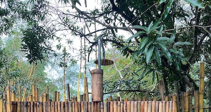 Jungle safari tent with private plunge pool near Playa Matapalo