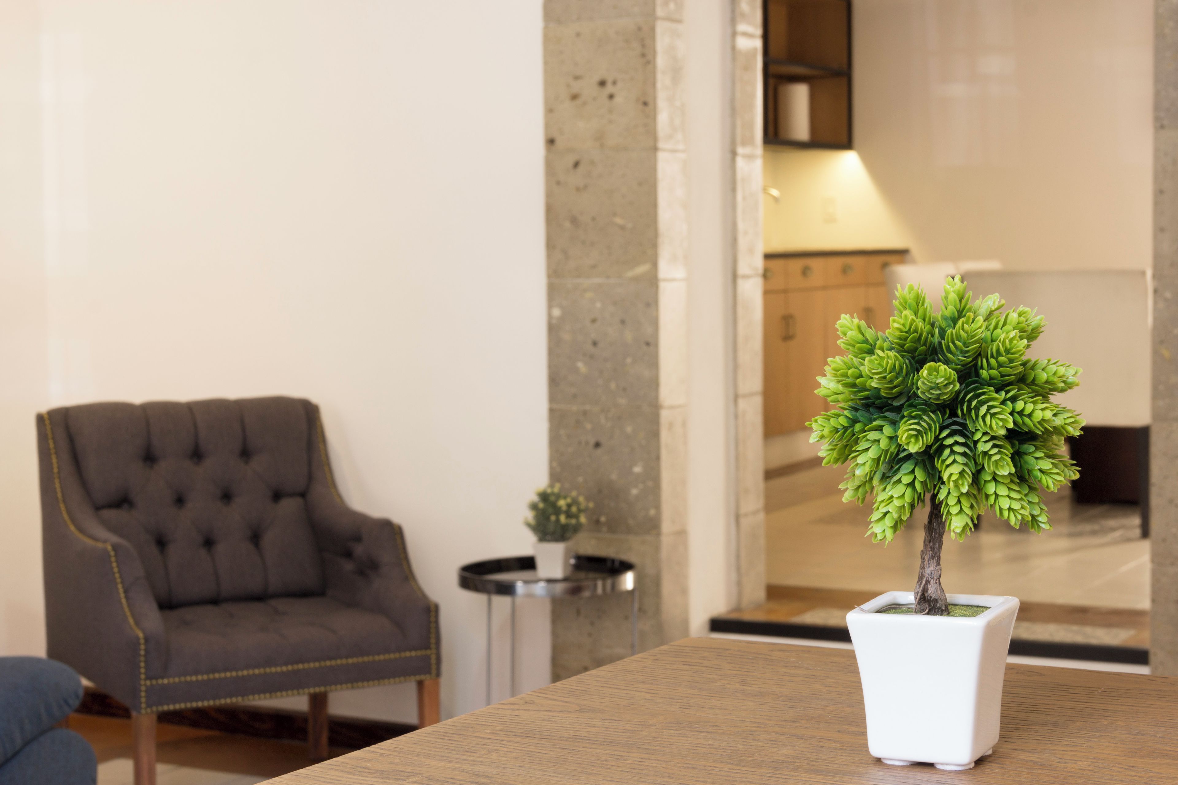 Una habitación con un sillón capitonado, una mesita con una planta en maceta y vista a un edificio a través de una puerta de cristal.