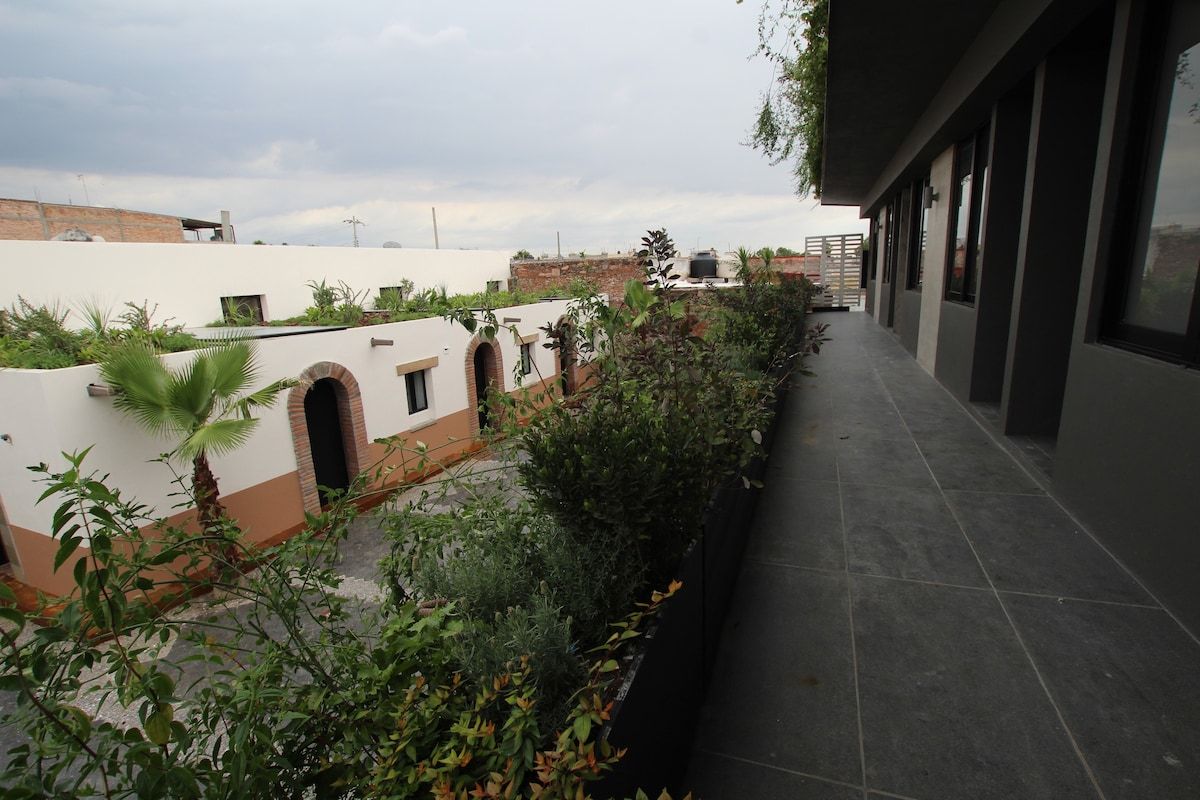 Una terraza en la azotea con un estrecho sendero, rodeada de follaje y un edificio de diseño moderno.