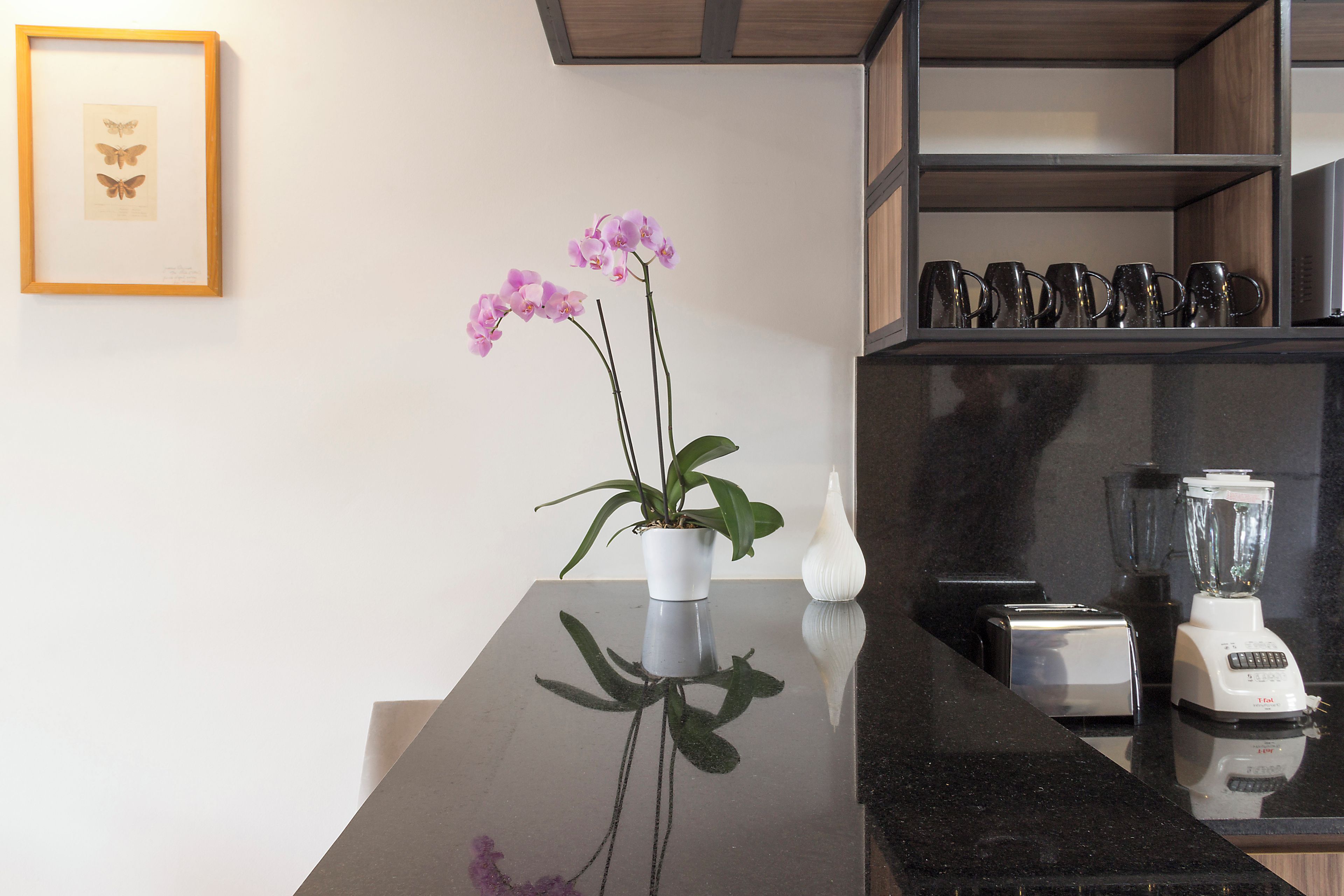 A kitchen counter with a blender, a toaster, and a potted orchid.
