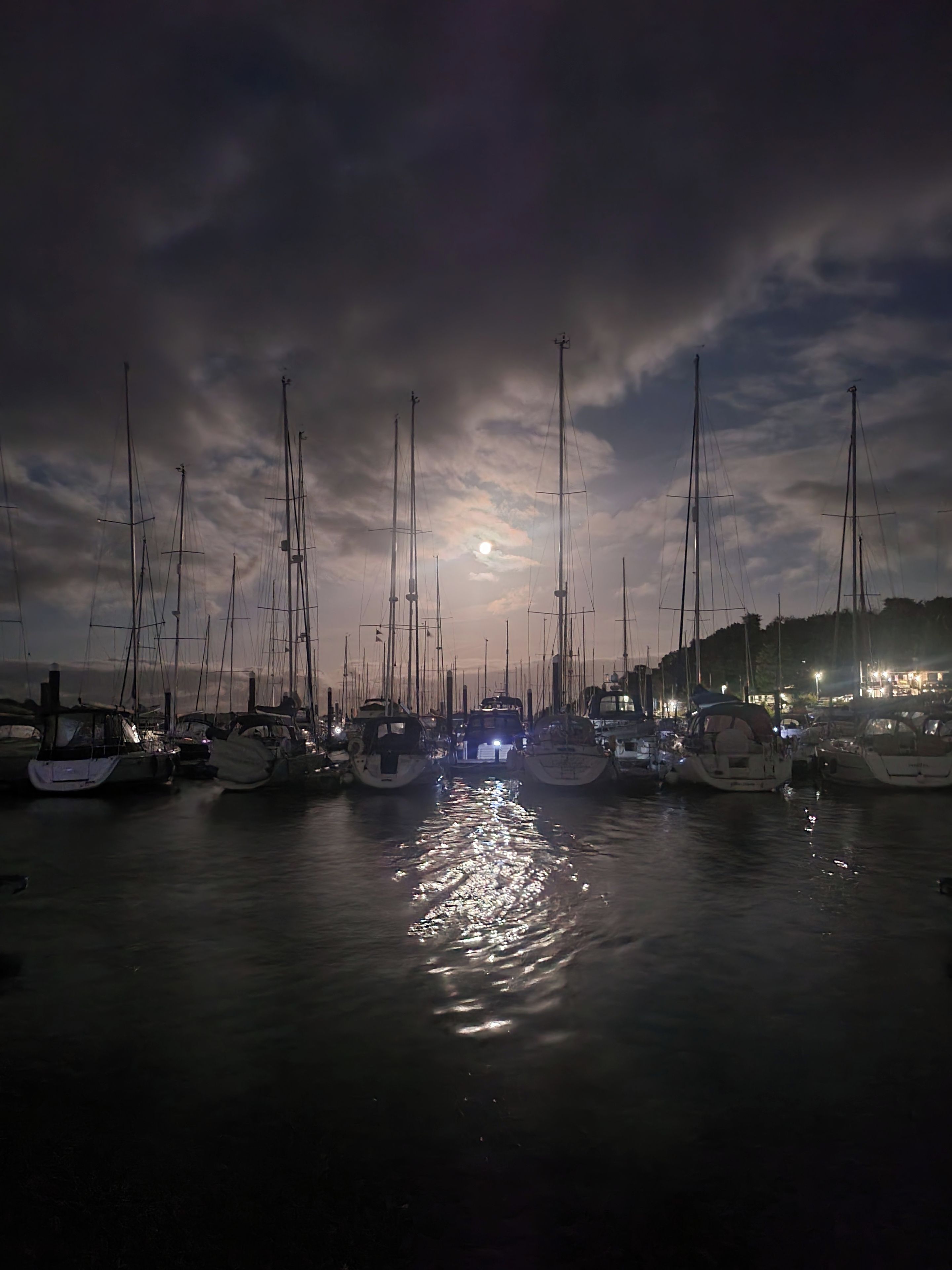 A marina at night with multiple sailboats docked.