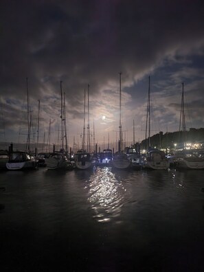 A marina at night with multiple sailboats docked.