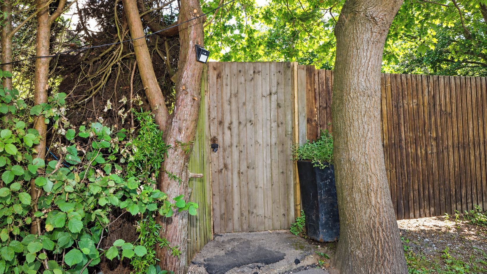 Une porte en bois, précédée d’une petite marche, est entourée de verdure et d’arbres.