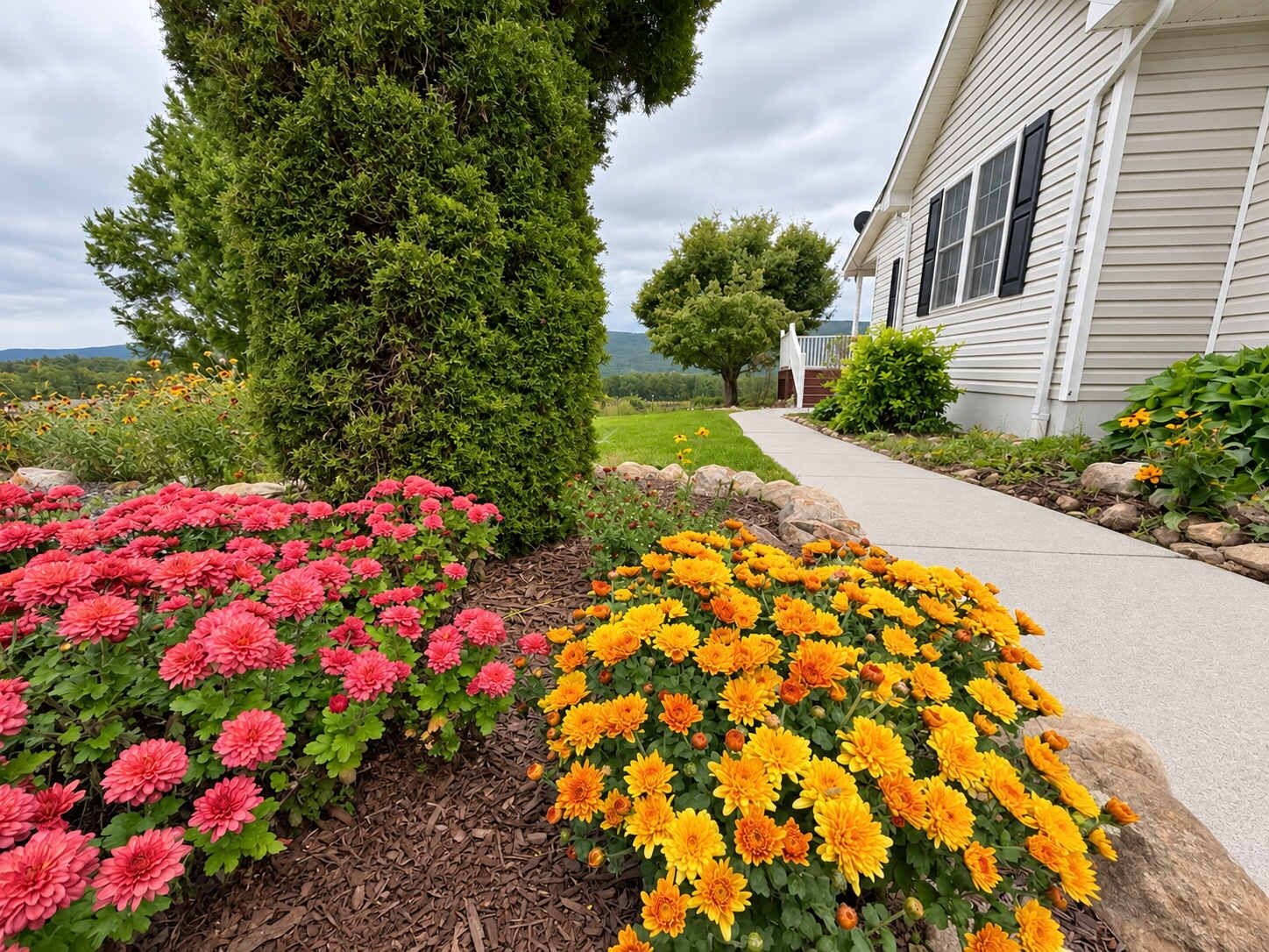 A residential property with a well-maintained garden featuring pink and yellow flowers, a tall coniferous tree, and a pathway leading to a house with white siding and black shutters.