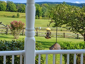 Bird feeders around the porch keep the yard busy with visitors.