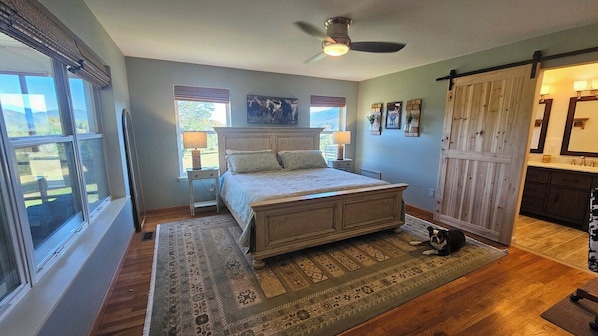 A bedroom with a bed, a dog, a sliding barn-style door, and a view of the outdoors.