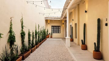 Un pasillo con plantas en macetas, un camino de grava y luces colgantes.