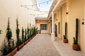 Un pasillo con plantas en macetas, un camino de grava y luces colgantes.