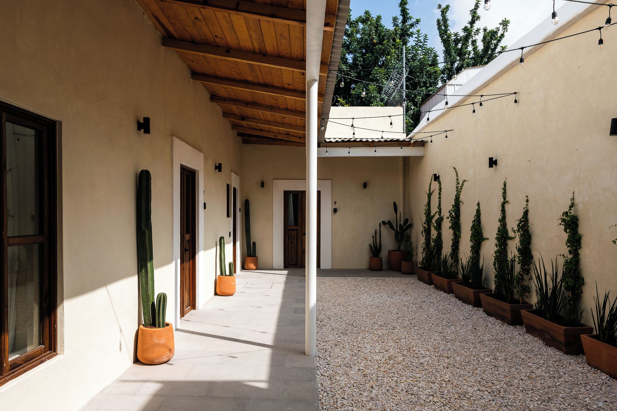 Un pasillo cubierto con cactus y plantas en macetas, que conduce a un edificio con el número '9' en la pared.
