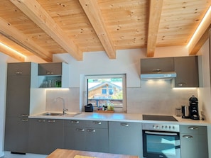 A modern kitchen with grey cabinets, a stainless steel sink, and a built-in oven. - Adlerhorst by Interhome (Auffach)