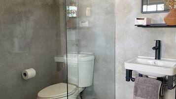 A modern bathroom with a glass-enclosed shower, a toilet, a sink, and a mirror.