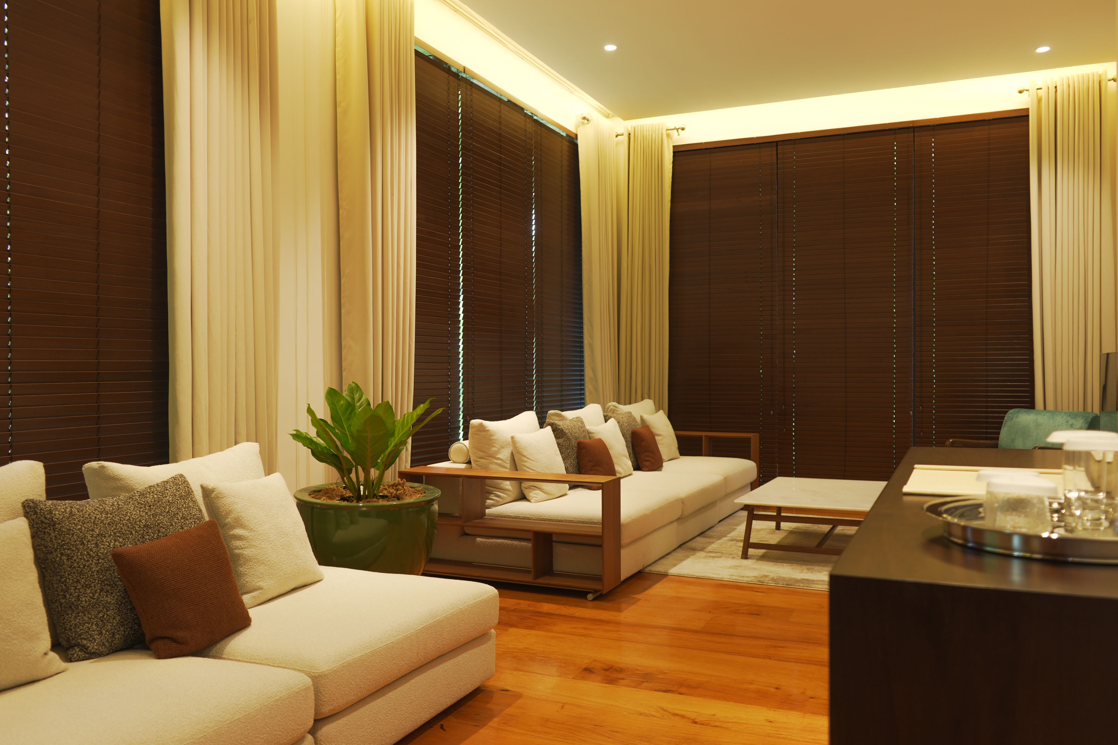 A modern living room with a sofa, a coffee table, and a potted plant.