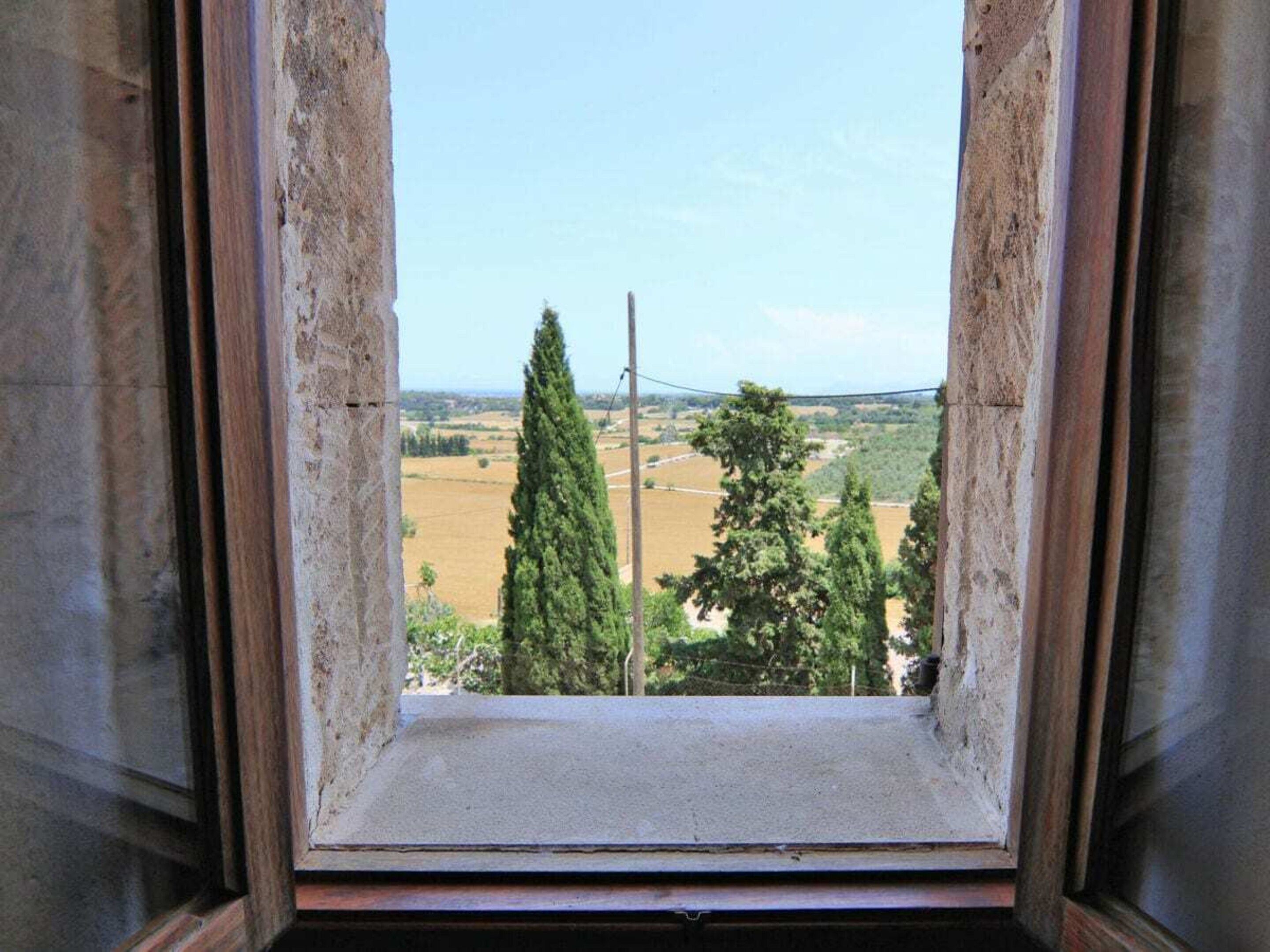 A window with a view of a rural landscape, including trees and fields.