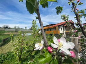 A residential building with a red-tiled roof, surrounded by blooming trees and a clear sky. - Idyllic vacation rental with a south-facing balcony for up to 6 people (Lindau (Bodensee))
