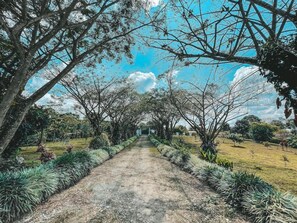 A pathway flanked by trees and shrubs, leading to a structure in the distance. - Hotel Casona Montañesa Quindío (Montenegro)