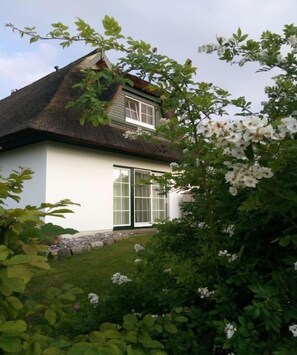 Eksteriør