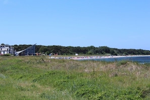 Eine Küstenlandschaft mit Strand, einem Gebäude mit geneigtem Dach und einem bewaldeten Hügel im Hintergrund.